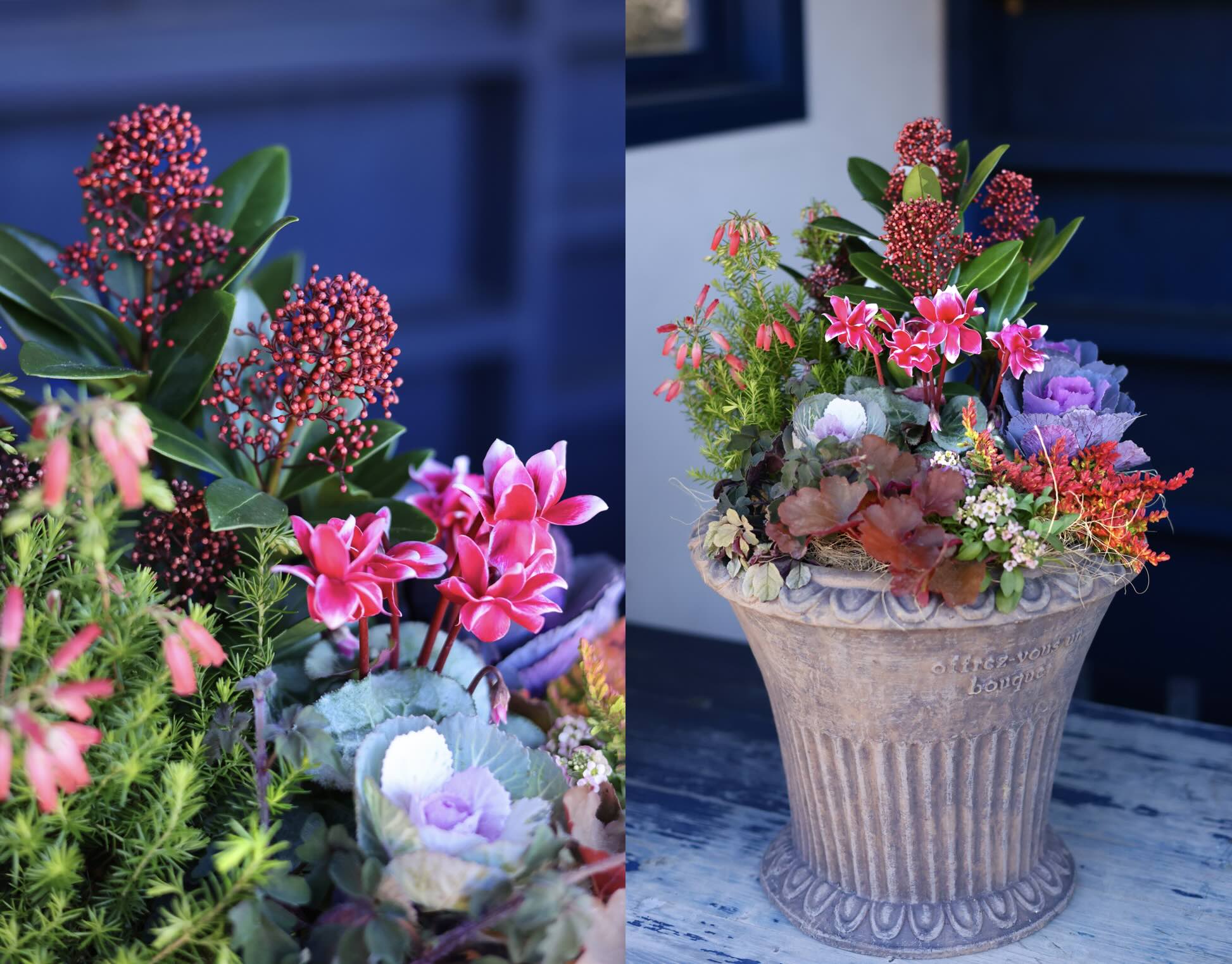 ハレの日の寄せ植え】高さを出して華やかに！クリスマス＆お正月に