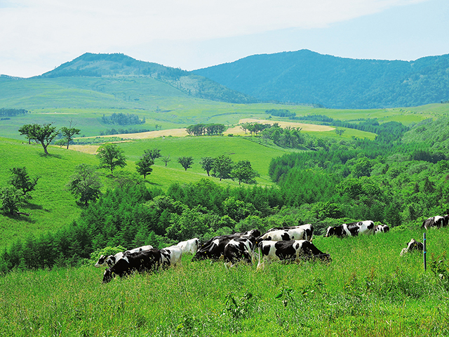 襟裳岬を目指す 北海道おすすめ 帯広・広尾ドライブルート | クルマ