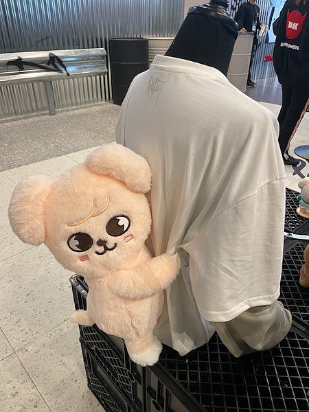 Qoo10] JYP Entertainment [予約] [特典あり] [SKZOO P