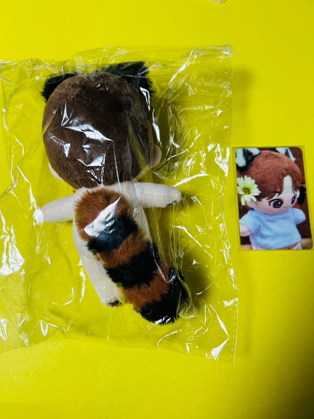 Qoo10] スングァン ぬいぐるみ 15cm