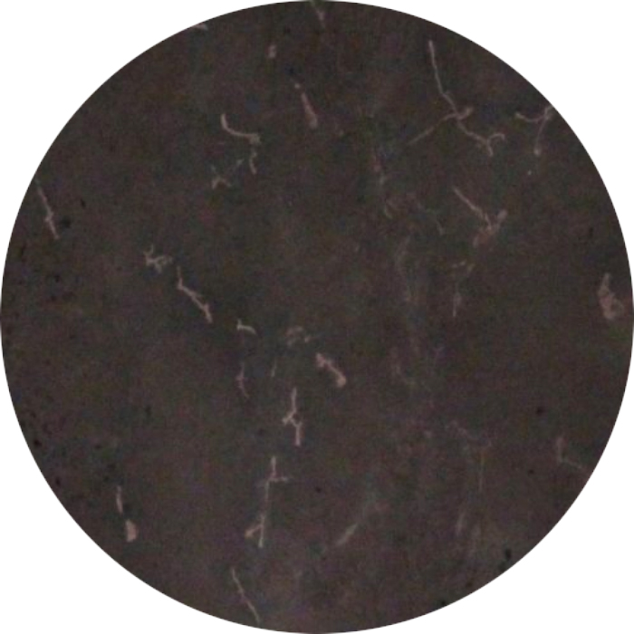 新古美術 玄清堂 | 厳選された美術品を世界遺産「石見銀山」がある島根