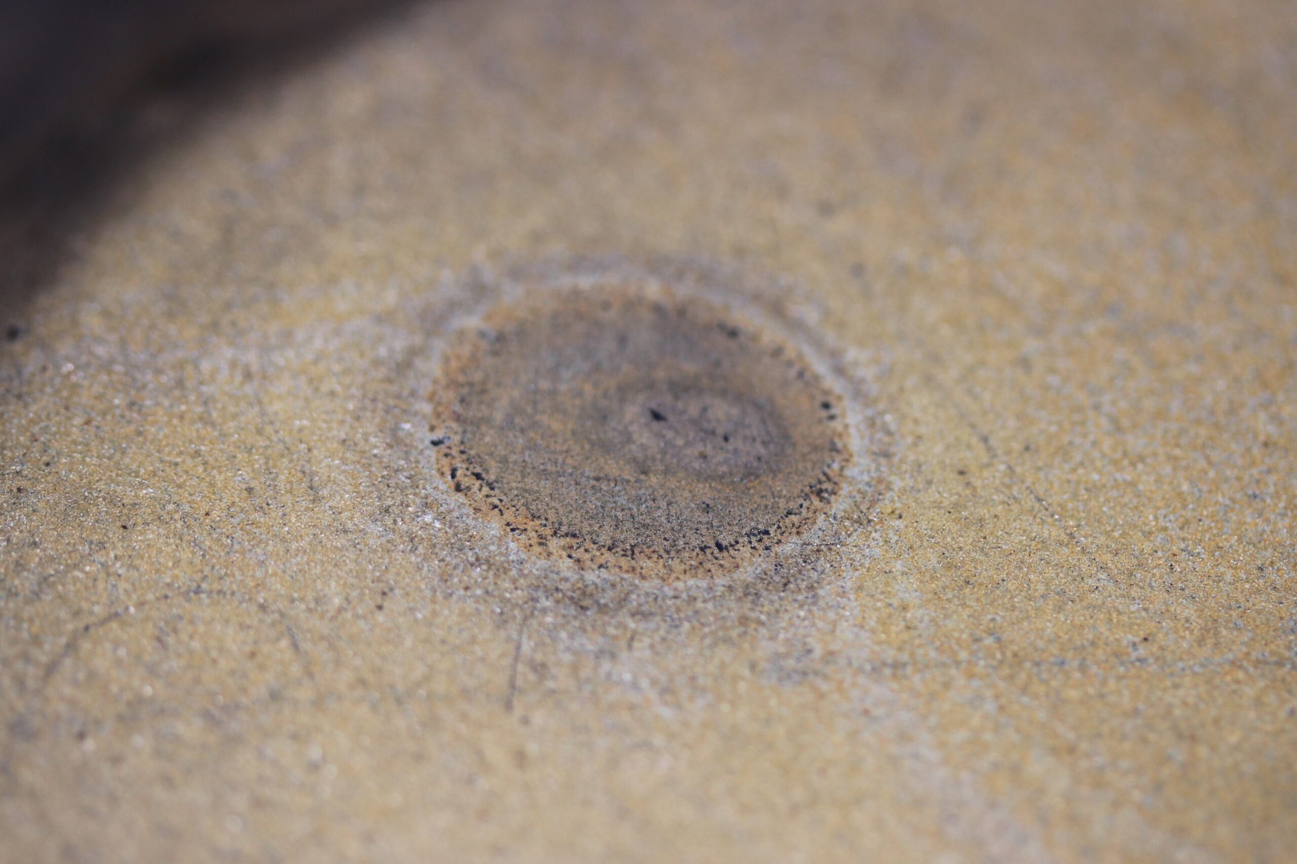 ⭕️澄泥硯 ⭕️正方硯 中国 縁起の金運シンボル ヒキガエル 色合い