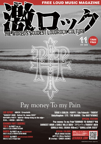 Pay money To my Pain、オリジナル・アルバム4作品をアナログ化！来年2