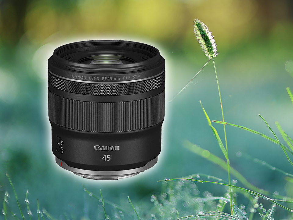 実写チェック！ 実売6万円台の「キヤノン RF45mm F1.2 STM」はどんな