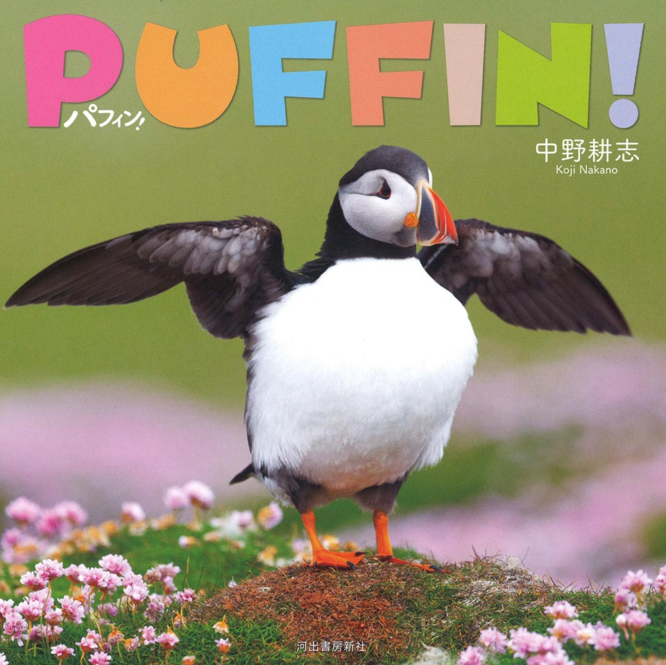 困り顔”に癒やされる！ 海鳥・パフィンの愛らしさが詰まった写真集