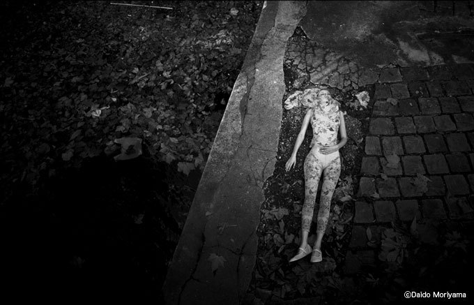 NOVEMBRE 森山大道×滝沢直己 フォト・ボックス 』森山大道＝写真 滝沢