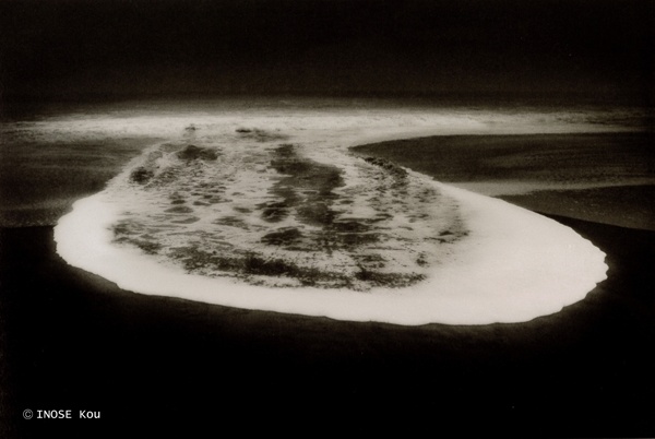 猪瀬光全作品 INOSE Kou COMPLETE WORKS 』猪瀬光 | 月曜社