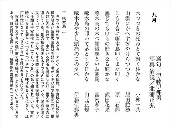 銀漢俳句会誌2014年7月号 伊藤伊那男