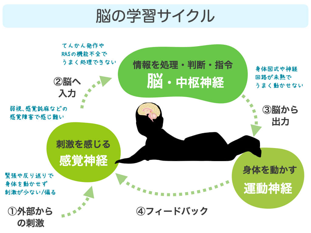 脳性麻痺やPVLの子供へのマッサージやはり治療の必要性