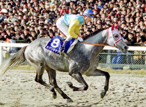 オグリコール」から30年、永遠の響き | 岐阜新聞デジタル