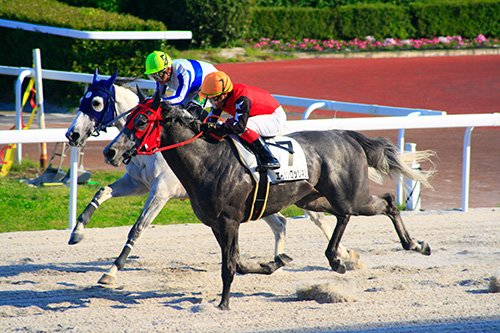 シンデレラグレイ賞、キャップ＆マーチの激闘再現～オグリキャップ愛