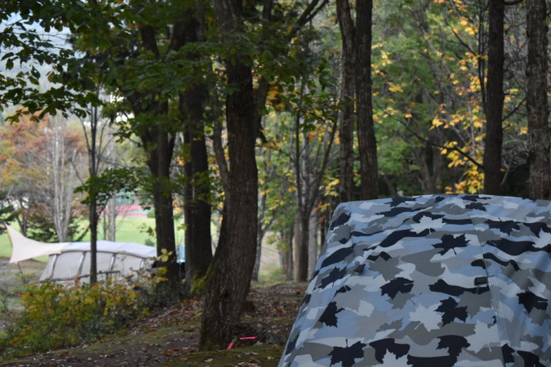 ロゴス ソロドーム（カモフラ）レビュー】信頼感抜群のソロ用ドーム型