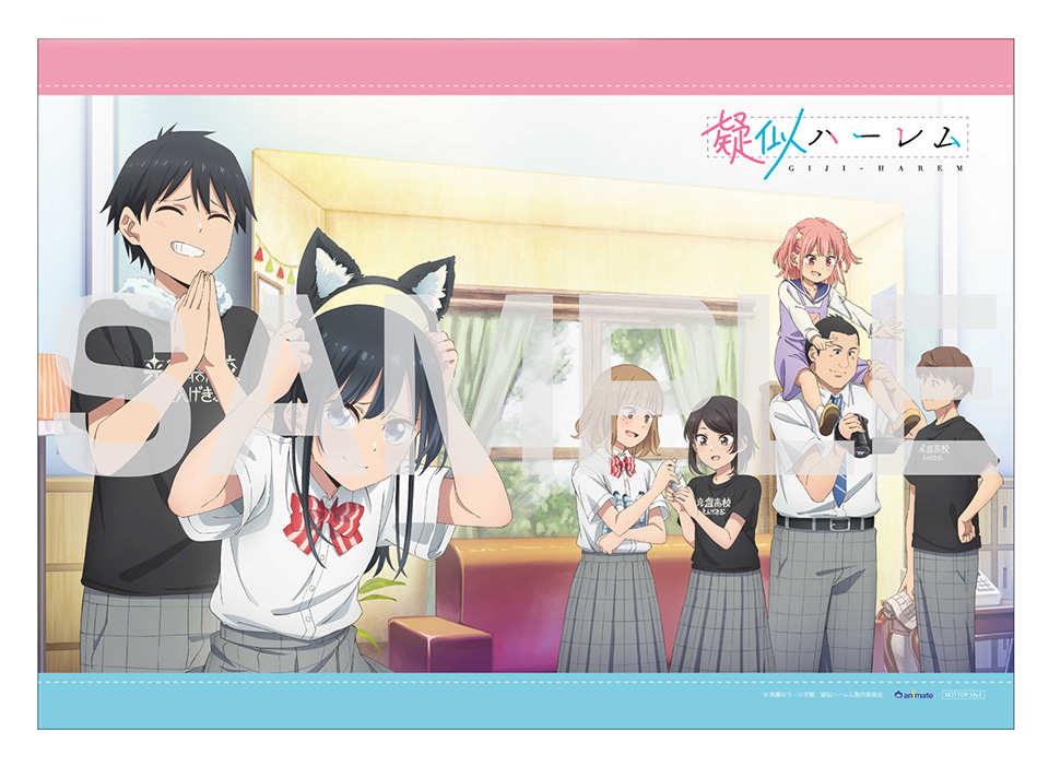 Blu-ray -TVアニメ「疑似ハーレム」公式サイト-