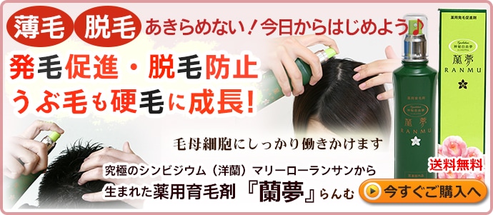 蘭の花から生まれた育毛剤 蘭夢（らんむ） / トータルヘルスデザイン