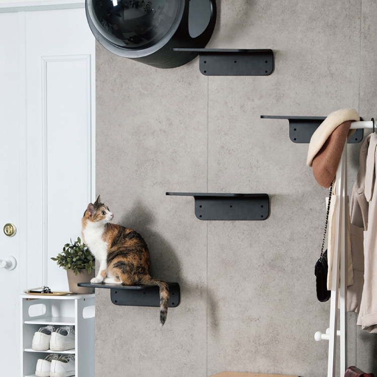 MYZOO マイズー LACK ラック カラー・サイズ 全4種 【2個入り