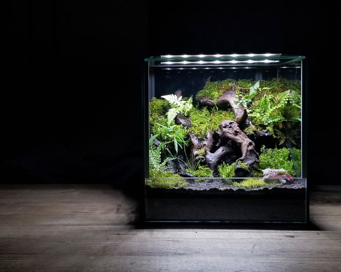 ZERO PLANTS パルダリウム・ビバリウム・コケリウム・ミスティング