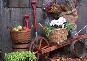 ガーデニングアイテム｜ガーデニング用品のアグリオショップ 公式通販