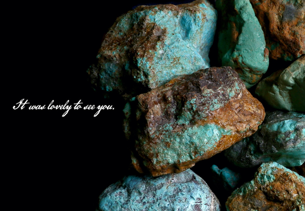 Booklet 2021/6ARIZONA FREEDOM（アリゾナフリーダム）公式サイト