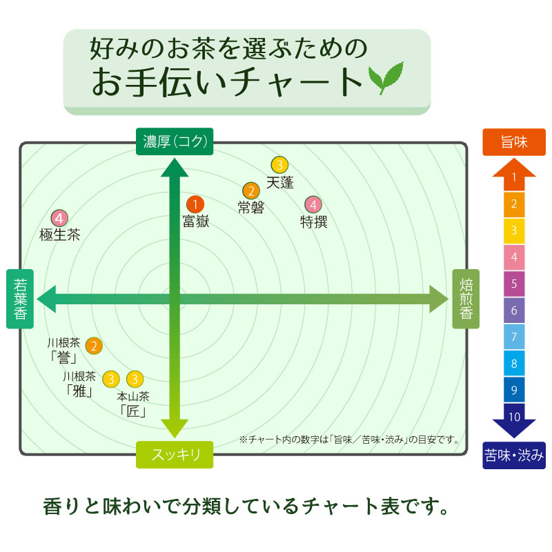 浅むし茶｜静岡茶3種 飲み比べ お試しセット