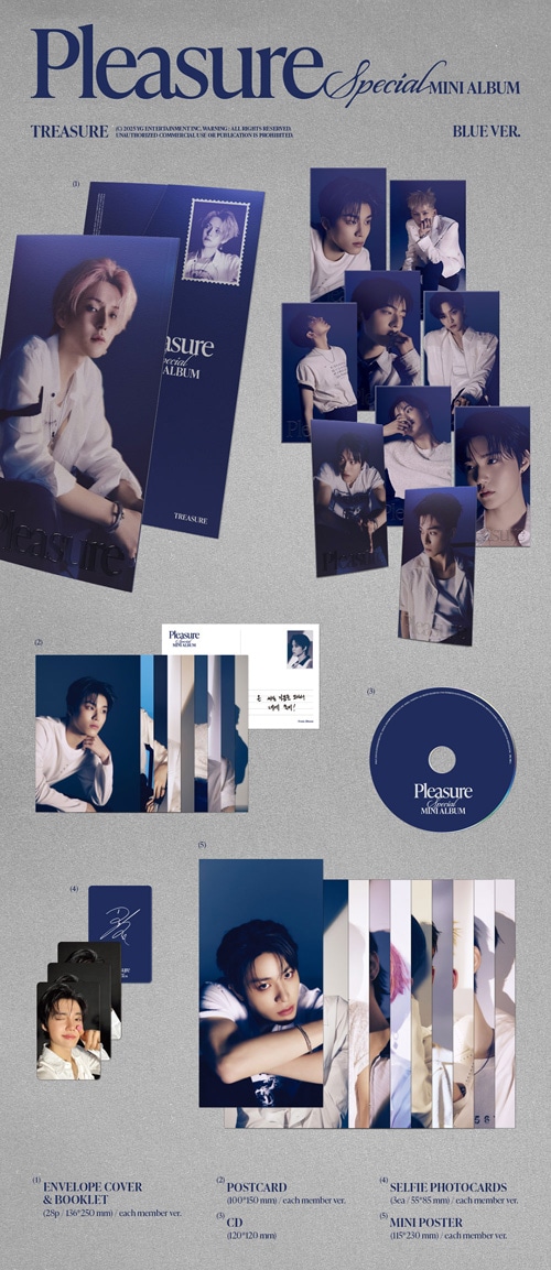 TREASURE PLEASURE 未使用シリアル ポストカード 【公式通販】