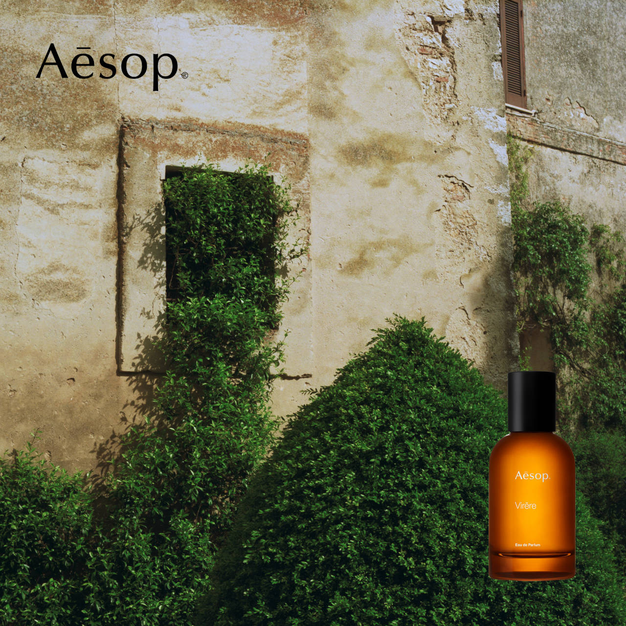 DRESSKIN | ドレスキン