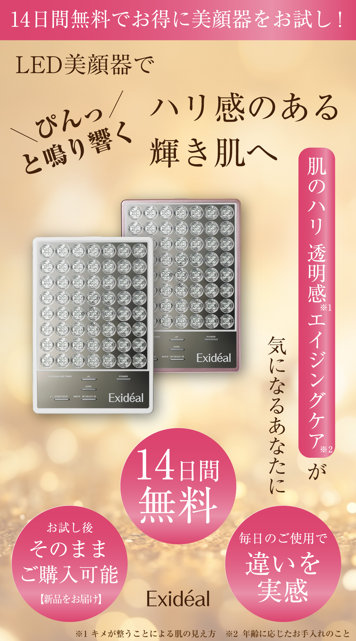 値下げしました】AGLEX AlaBeam LED美顔器 説明書付き 値下げしました