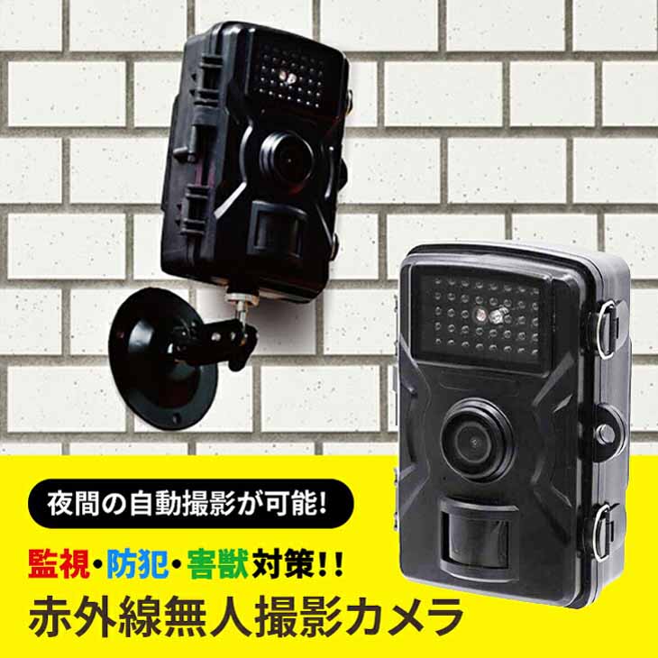 ファミラ 赤外線無人撮影カメラ SDカード32GB付き｜ファミリー・ライフ