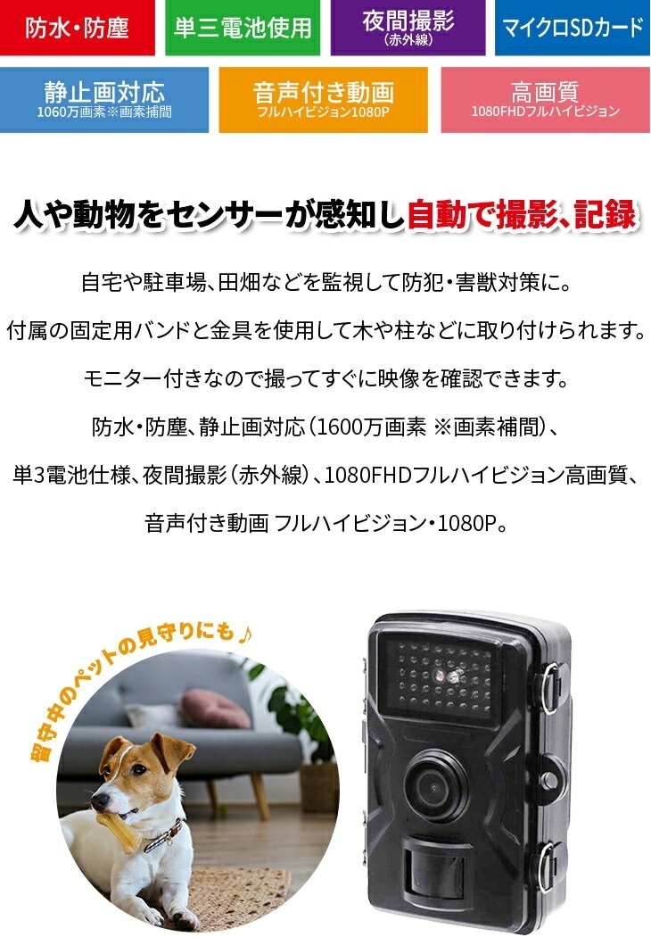 ファミラ 赤外線無人撮影カメラ SDカード32GB付き｜ファミリー・ライフ