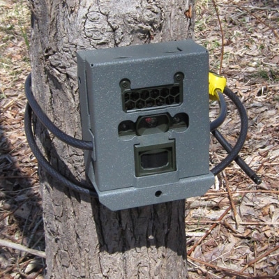 野生動物自動撮影カメラ、センサーカメラはReconyx（レコニクス