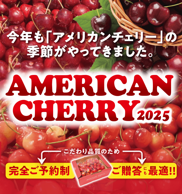 アメリカンチェリー｜ホップスモール公式通販(阪急交通社グループ)