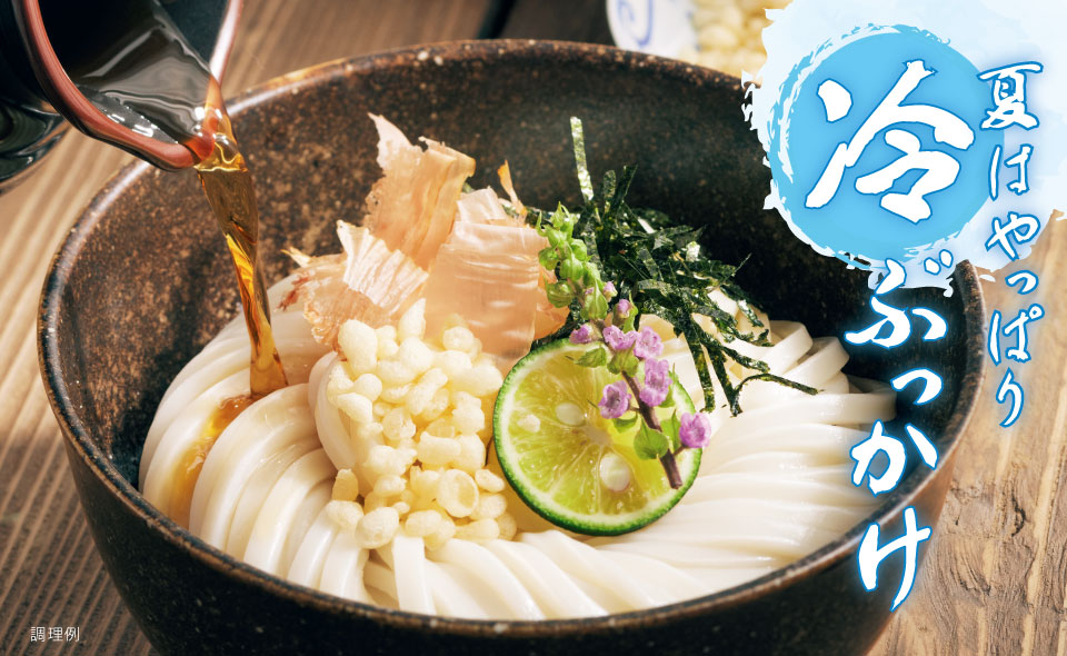 ぶっかけうどんの商品一覧 【公式】石丸製麺の讃岐うどん通販｜香川県