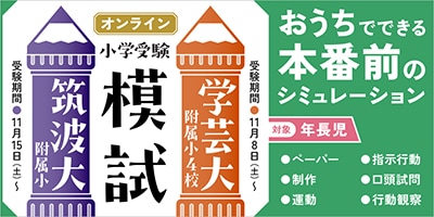 こぐま会 おやこでがんばりマスター全12巻セット こぐまオリジナル知育
