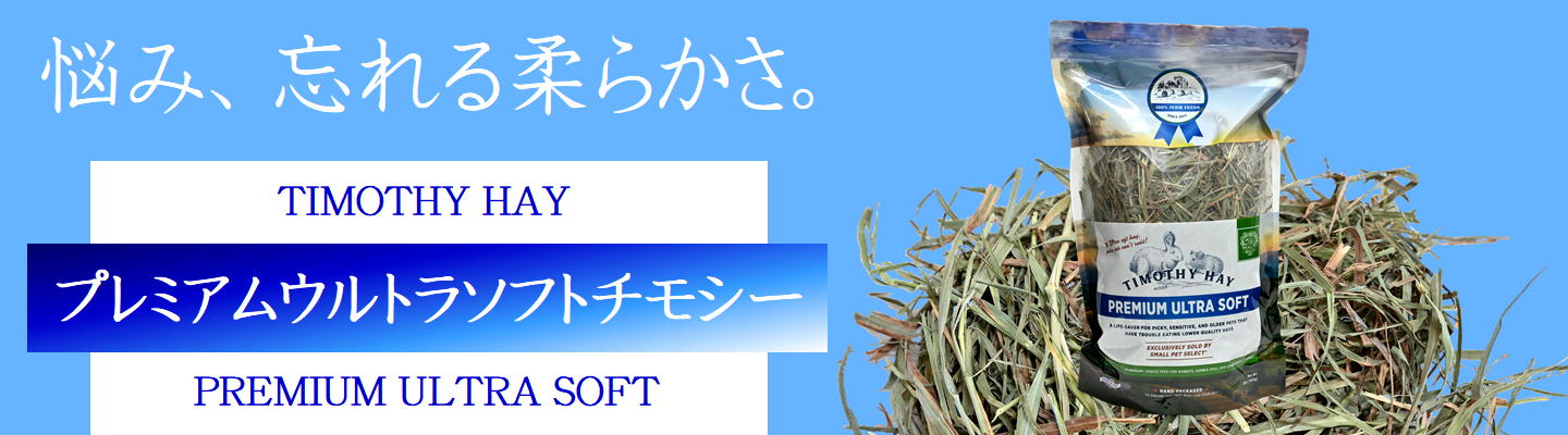 ウーリー チカラのちから 80錠 ※賞味期限2026.11.06 | うさぎ専門店