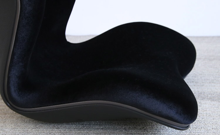 Style PREMIUM DX 椅子の上に置く座椅子 オフィス デスクワーク 姿勢