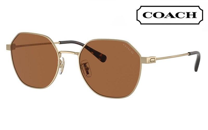 HC7155 900587 54 コーチ COACH サングラス ラウンド オクタゴン
