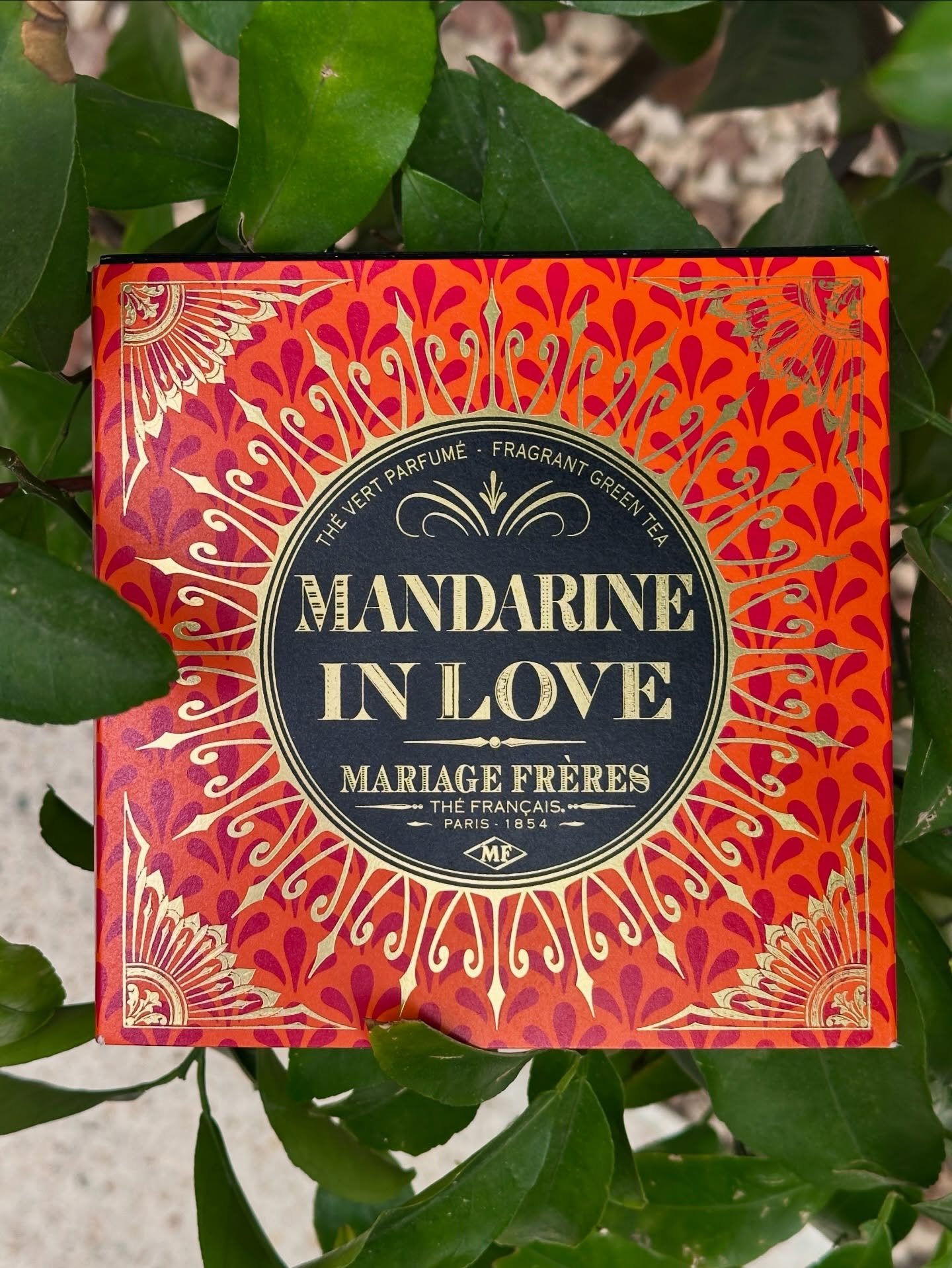 PARIS EARL GREY / パリ アール グレイ 100g | すべての商品