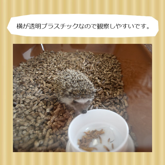 CASA マルチプレイス ハリネズミ専用ケージ おしゃれ マルカン 【大型