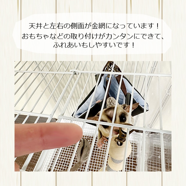 SANKO イージーホーム クリアー モモンガ40 WH フクロモモンガの飼育