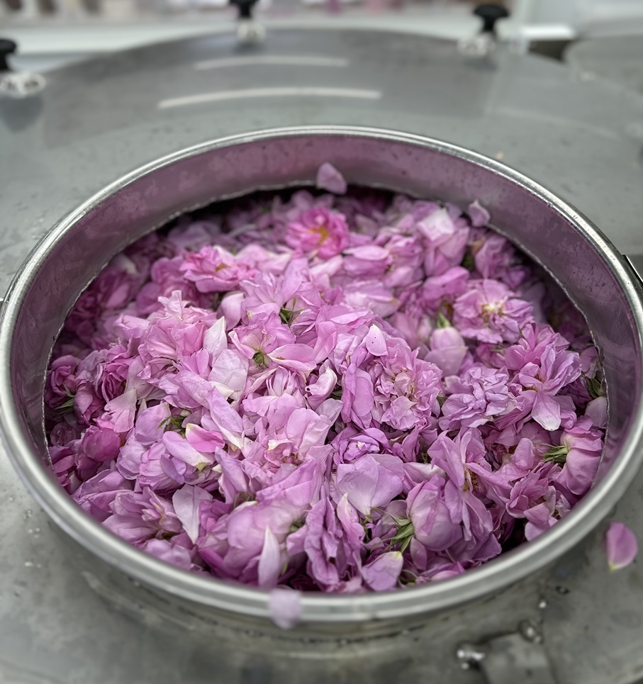 国産ローズ精油 1ml ローズオットー エッセンシャルオイル ダマスク