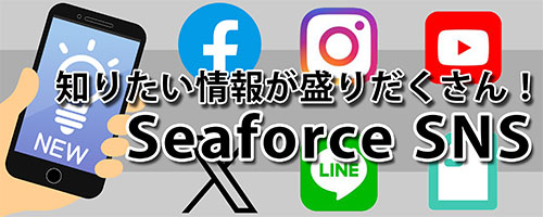 S&F（シーフォース） 950銀板 60×70mm 厚0.3mm | 金属・地金・素材,地