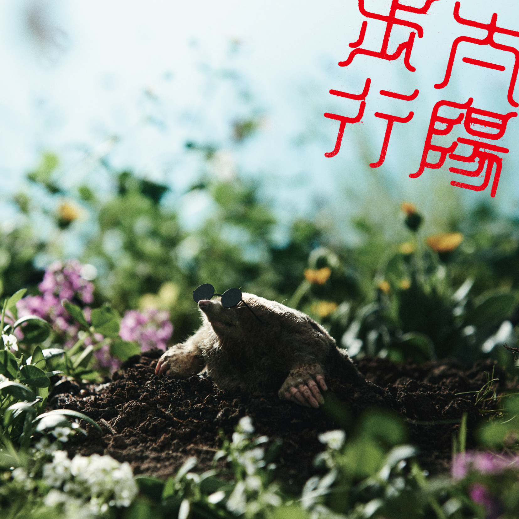 太陽歩行 ｜ ズーカラデル OFFICIAL SITE