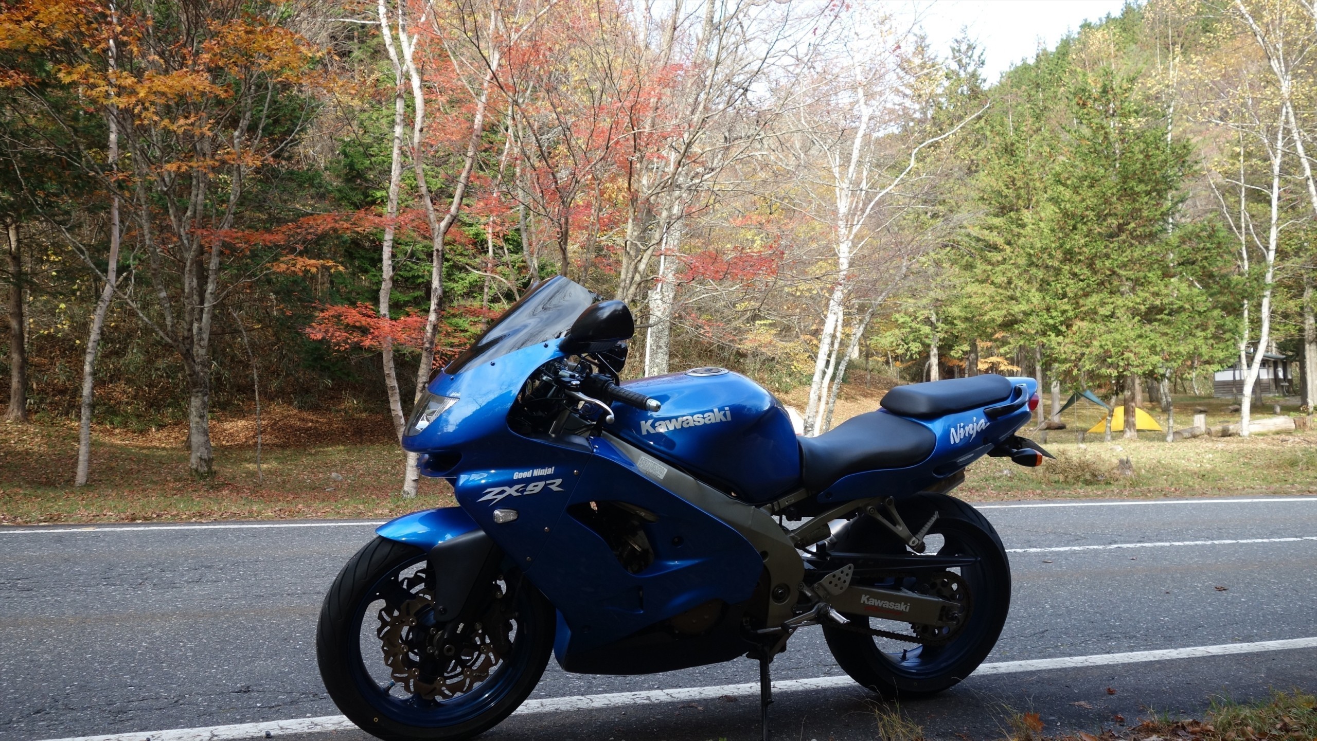 ZX-9R（Cタマ）のスクリーン変えて紅葉へGO！ | Good Ninja!