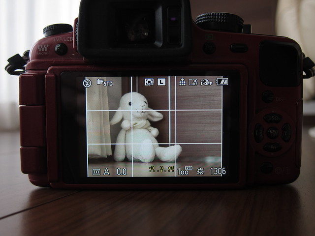 実写レビュー】いまさら「Panasonic LUMIX G1」入手！世界初のミラー