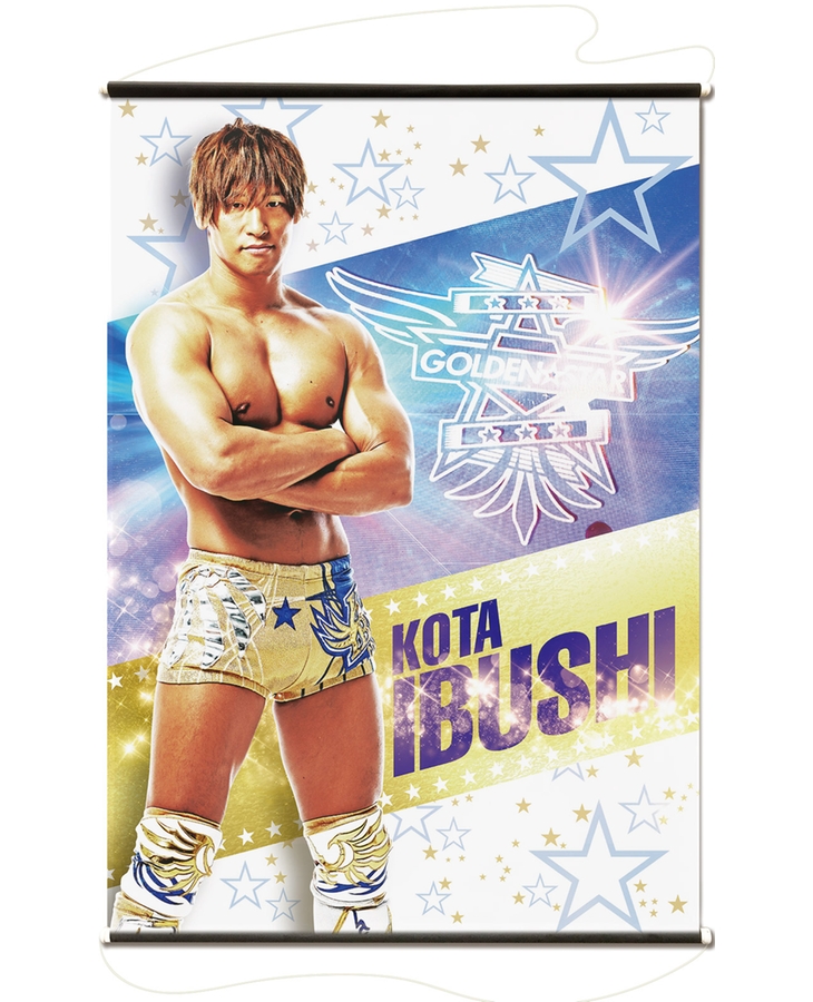 ありがとう 飯伏幸太DVD2本セット ありがとう 飯伏幸太DVD2本セット