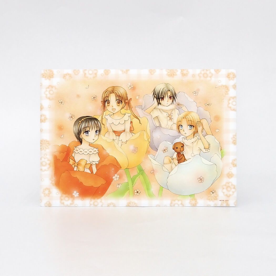 作家】樋口橘の商品一覧｜ 白泉社公式ショップ HAKUSENSHA SHOP