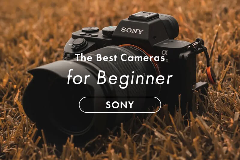 SONY（ソニー）の初心者向けカメラ12選【選び方も紹介！】 | カメラ