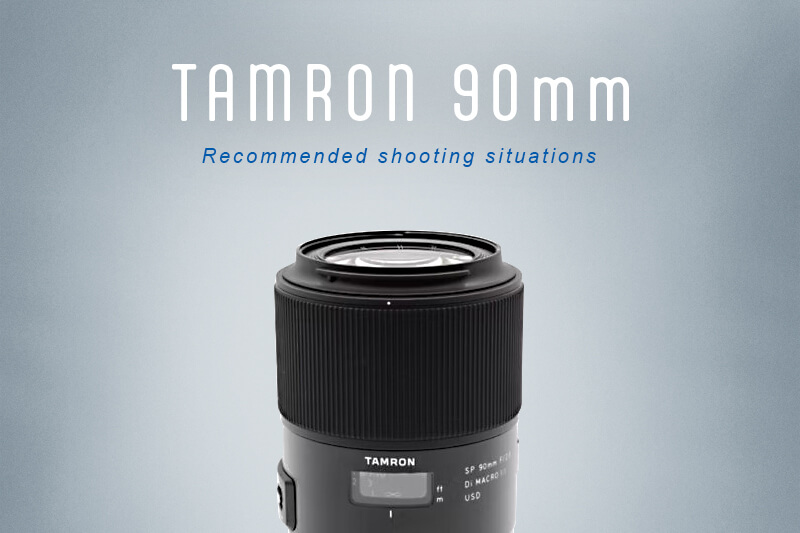 タムロン90mm（タムキュー）マクロレンズの魅力｜おすすめの撮影