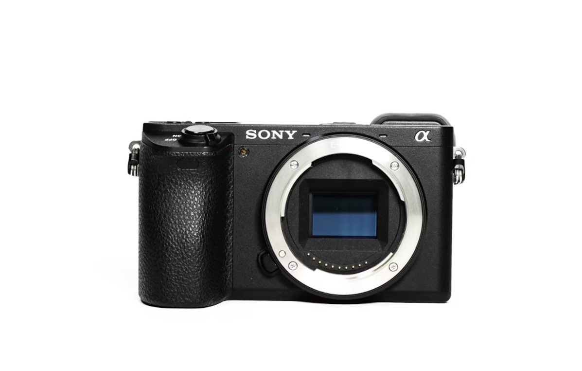実写レビュー！SONY α6600 ILCE-6600で野鳥を撮影してみた | GOOPASS