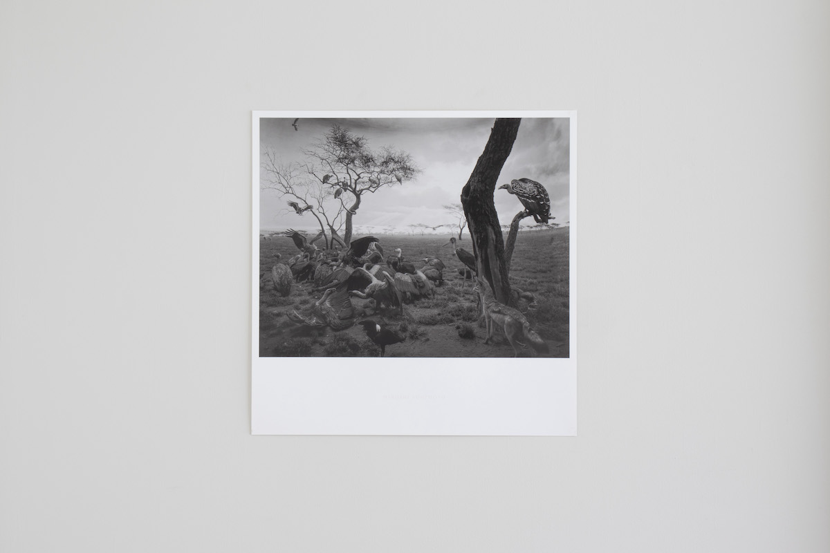 杉本博司の名作がコレクティブルなポスターになっている。見つけたら