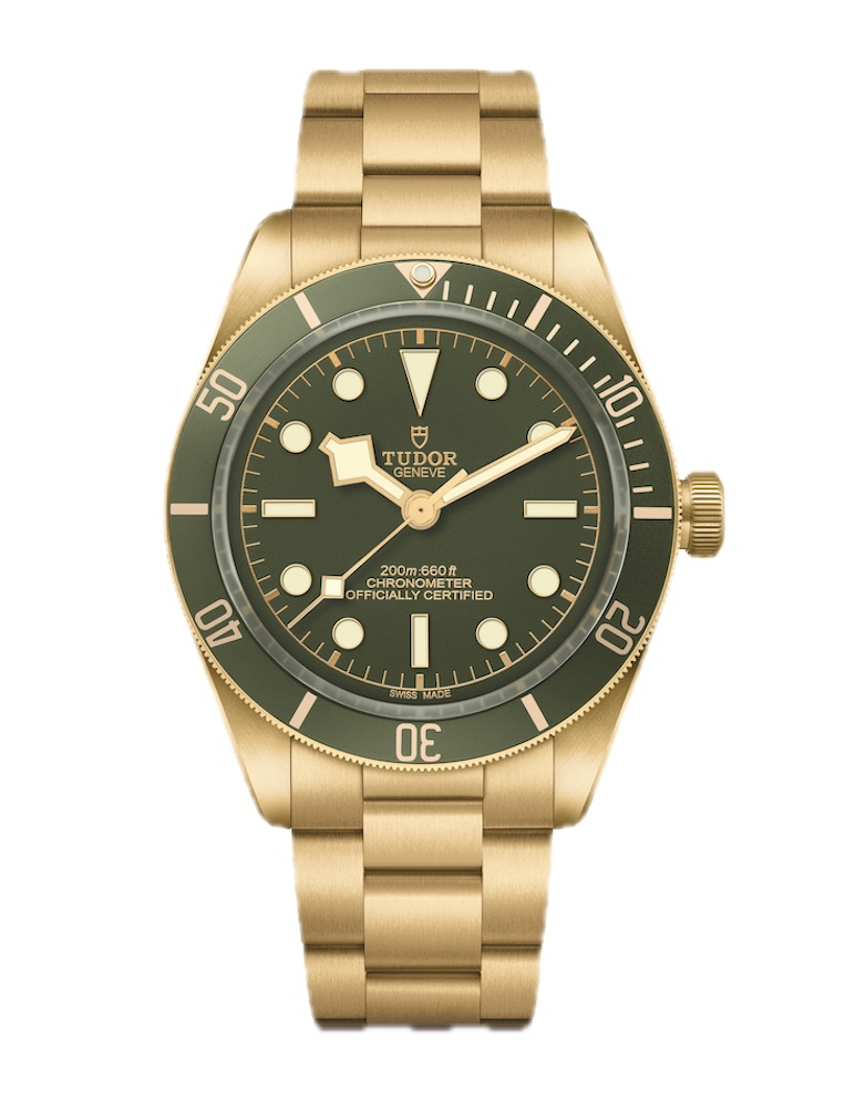 愛好家で話題に！ チューダー、ダイバーズウォッチ初のフルゴールド